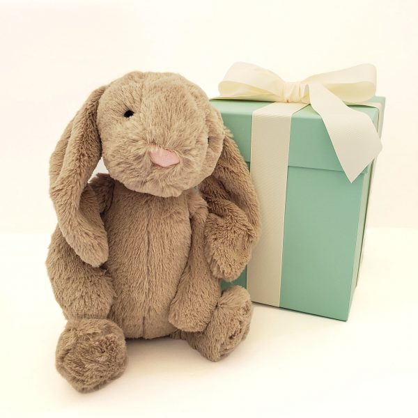 brown bunny rabbit stuffed animal little hugs