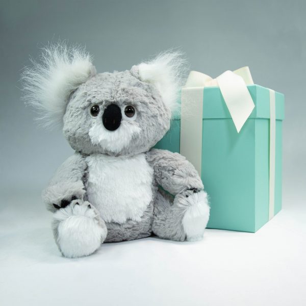 koala bear stuffed animal toy, teal gift box behind