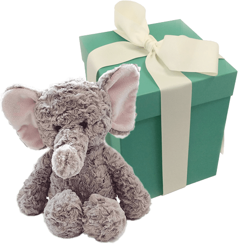 elephant teddy bear children's donation