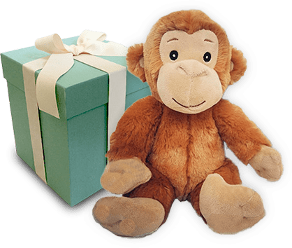 monkey stuffed animal toy with teal gift box, cutout