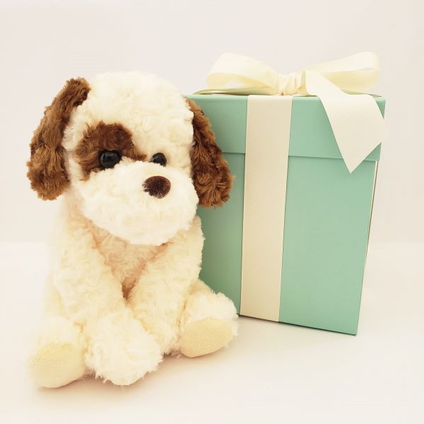 white dog stuffed animal with brown eye spot next to teal gift box