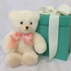 white bear teddy bear with coral bow little hugs stuffed animal